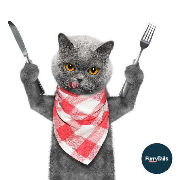 10間寵物友善餐廳推介