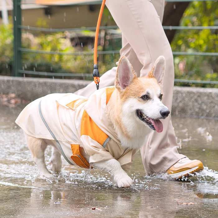 汪喵星球 - PEHOM 獨家聯名｜可調節防潑水狗狗雨衣&延伸片（汪喵拼色款）