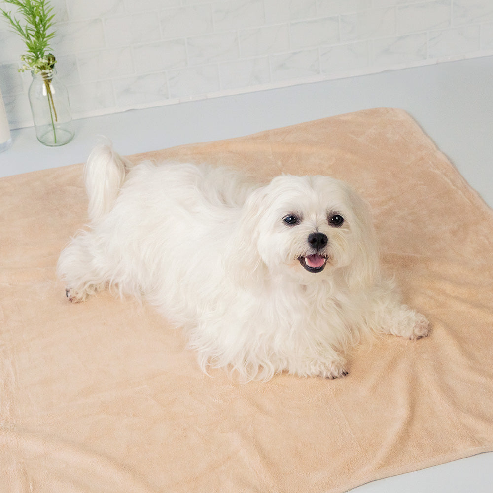 汪喵星球 - 吸水速乾寵物浴巾