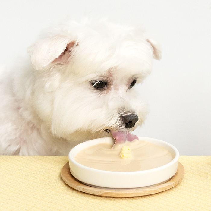 汪喵星球 - 零乳糖牛乳 250ml