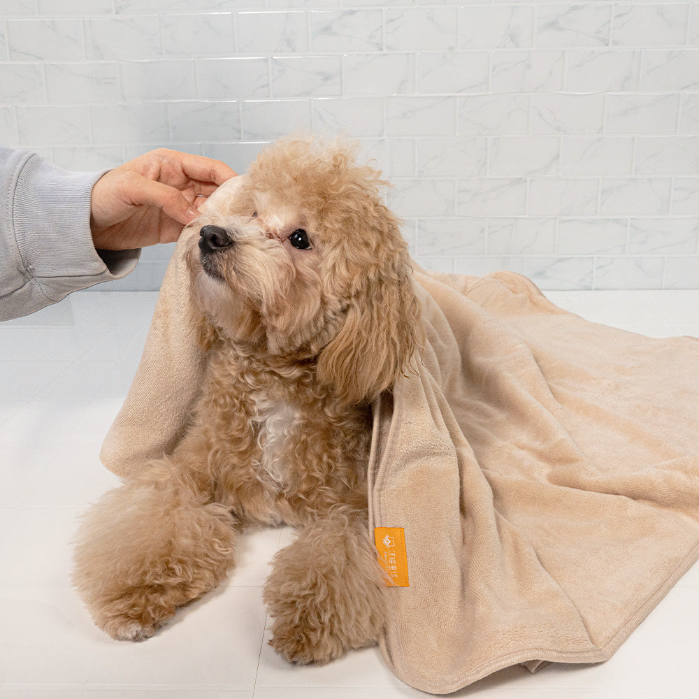 汪喵星球 - 吸水速乾寵物浴巾