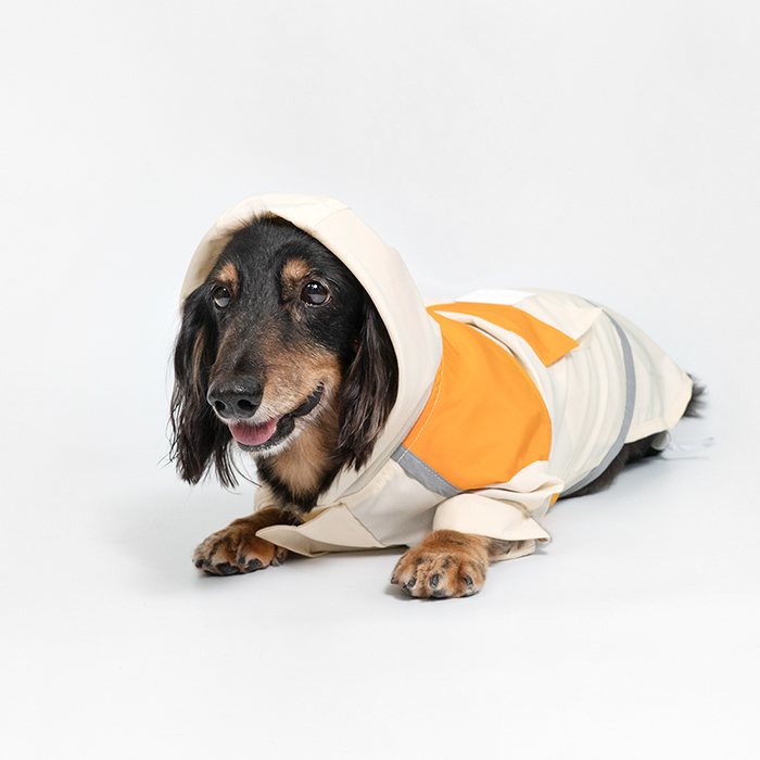 汪喵星球 - PEHOM 獨家聯名｜可調節防潑水狗狗雨衣&延伸片（汪喵拼色款）