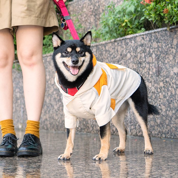 汪喵星球 - PEHOM 獨家聯名｜可調節防潑水狗狗雨衣&延伸片（汪喵拼色款）
