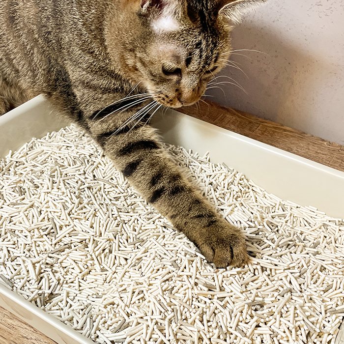 汪喵星球 - 益生菌消臭豆腐砂（迷迭條型／原味條型／米粒型）