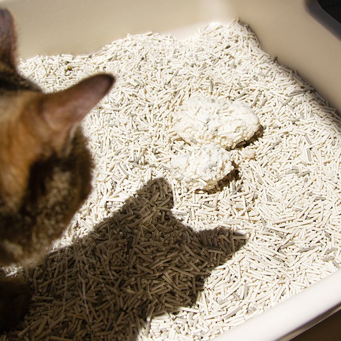 汪喵星球 - 益生菌消臭豆腐砂（迷迭條型／原味條型／米粒型）