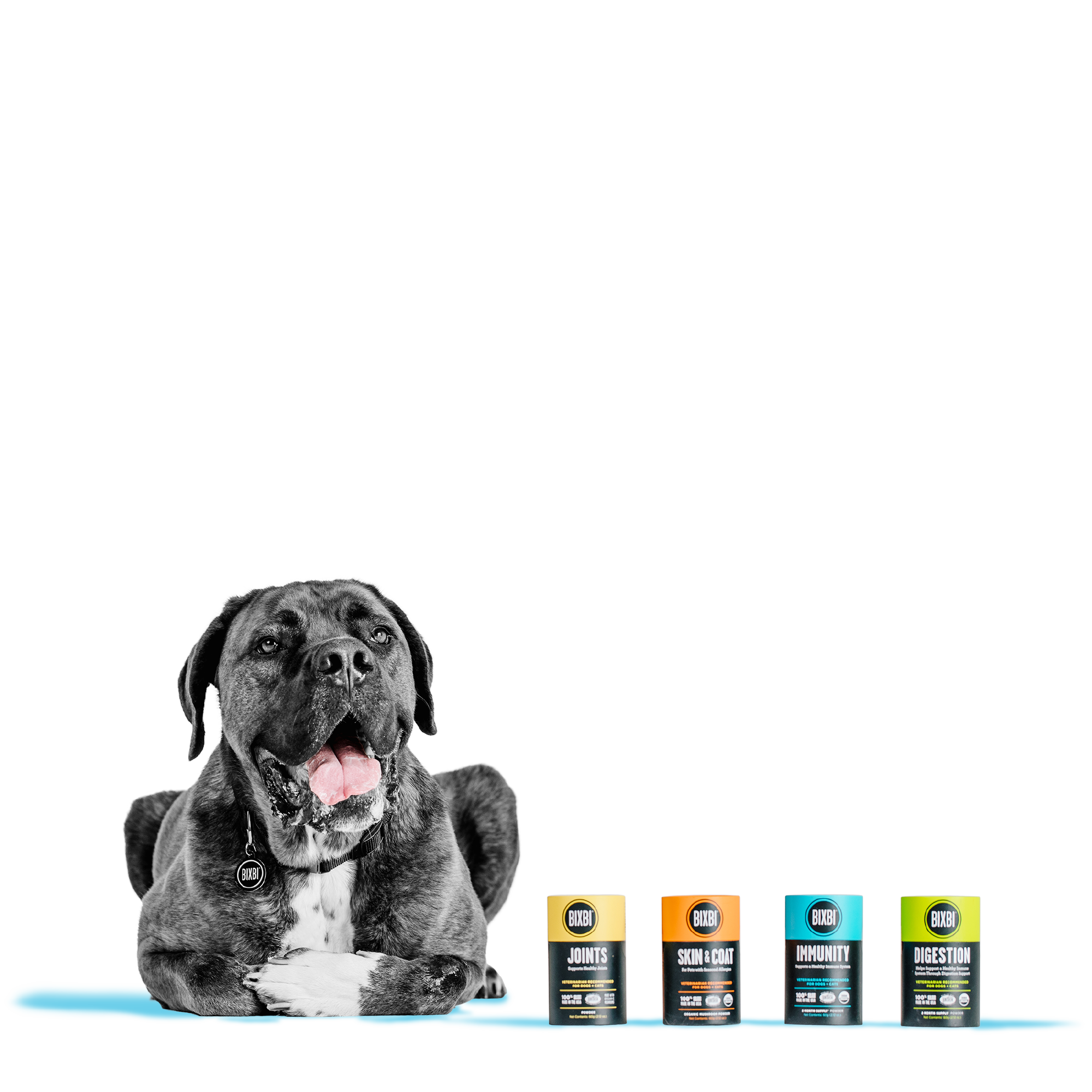 BIXBI - 營養補充粉系列（優化免疫／強化關節／補給皮膚／增強消化）