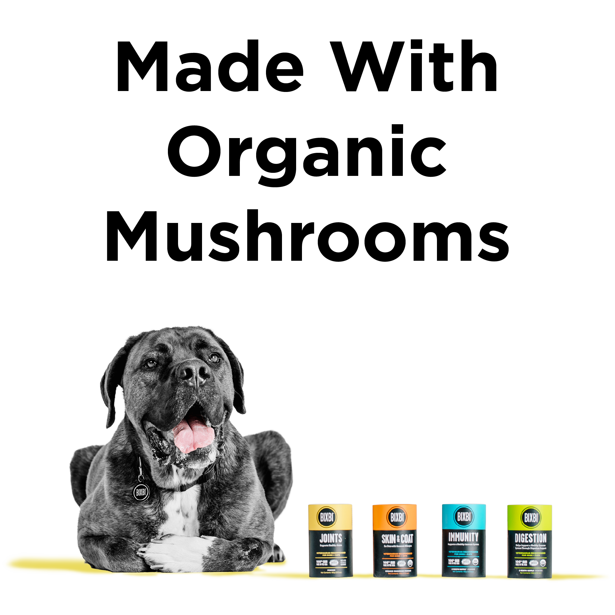 BIXBI - 營養補充粉系列（優化免疫／強化關節／補給皮膚／增強消化）