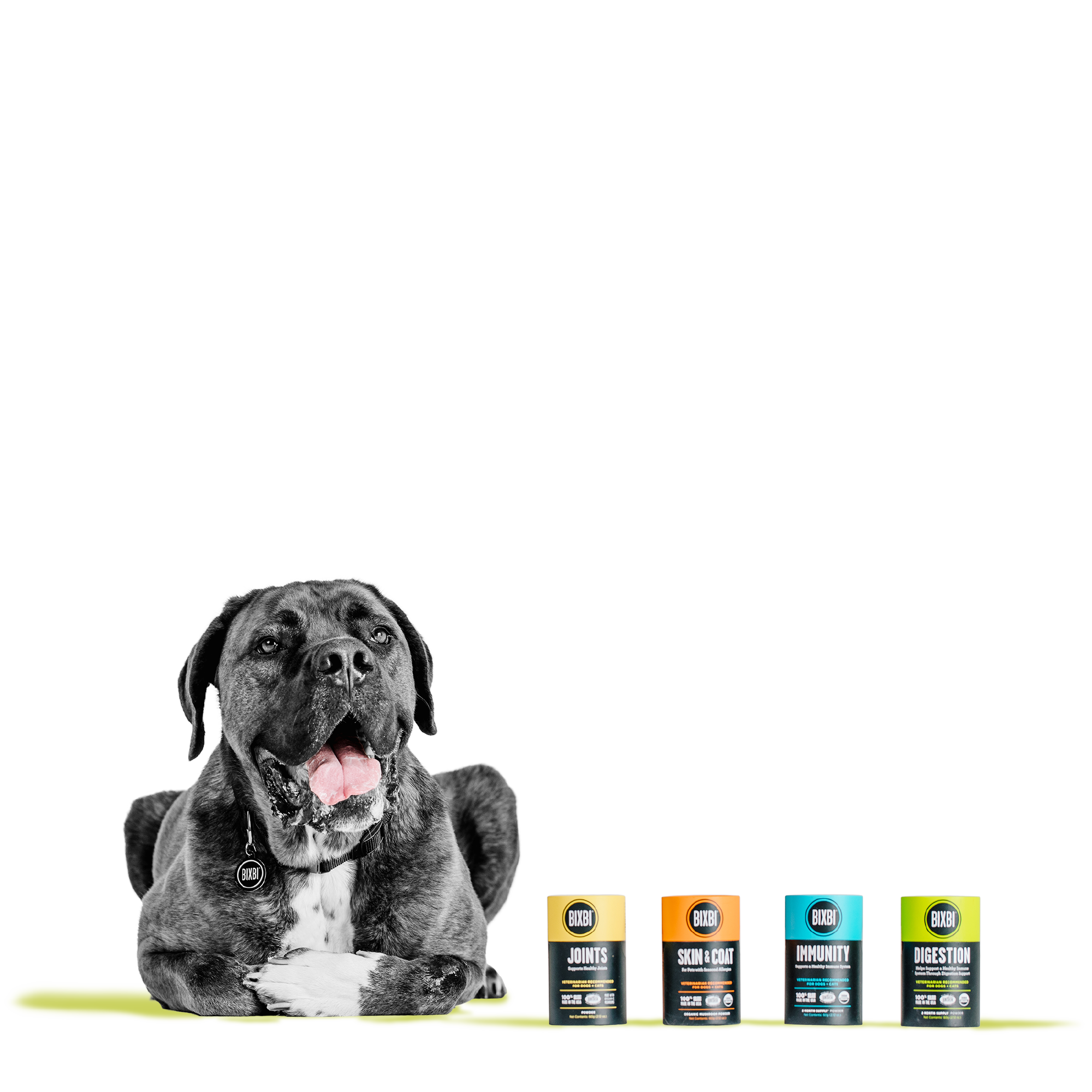 BIXBI - 營養補充粉系列（優化免疫／強化關節／補給皮膚／增強消化）