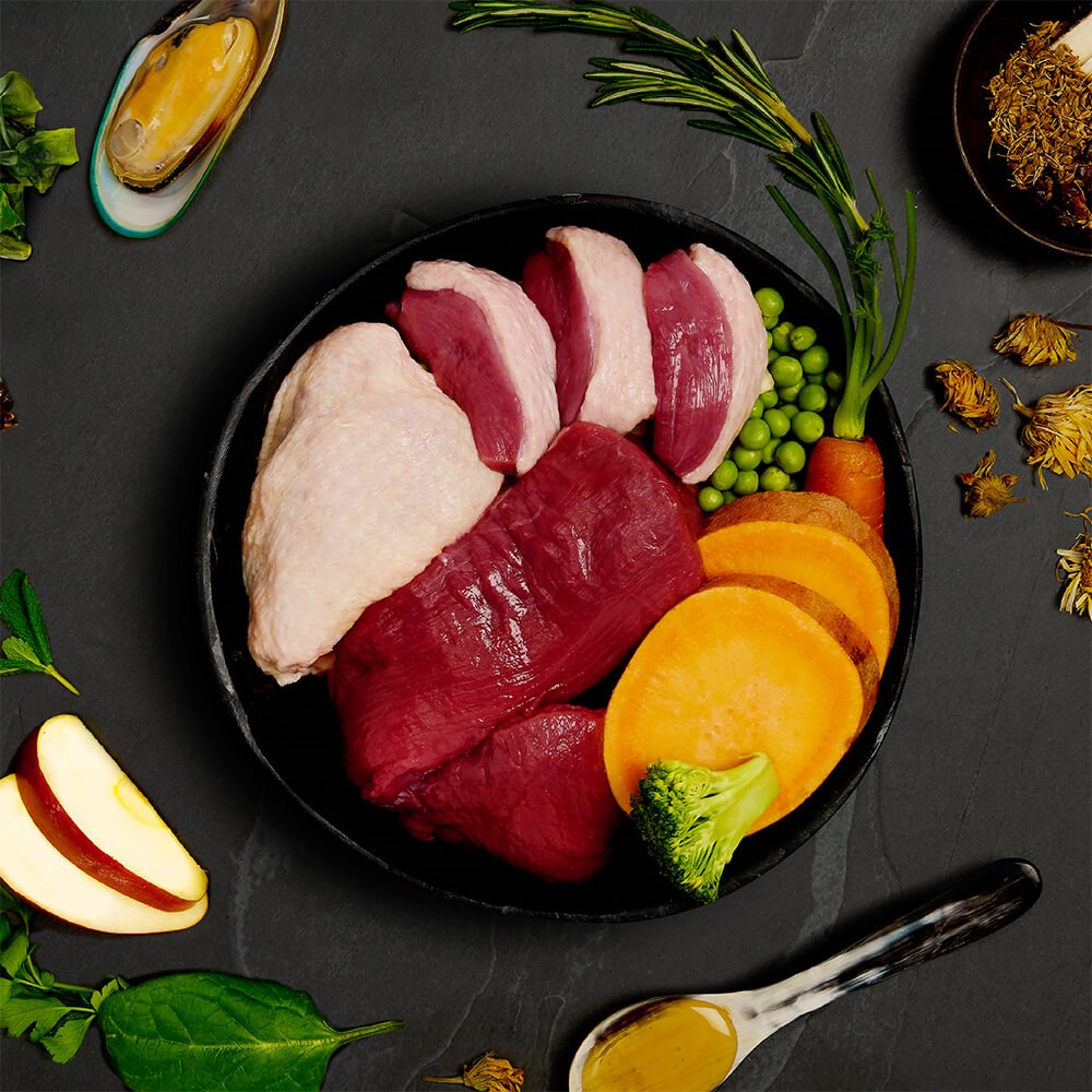 CANAGAN - 天然狗狗主食罐頭系列