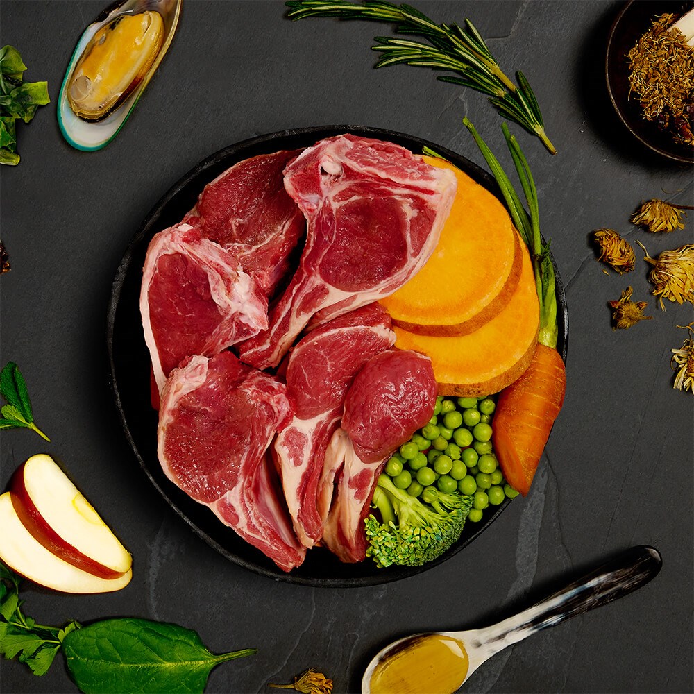 CANAGAN - 天然狗狗主食罐頭系列