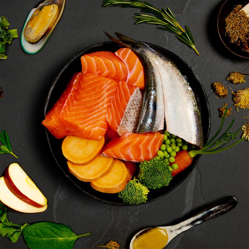 CANAGAN - 天然狗狗主食罐頭系列