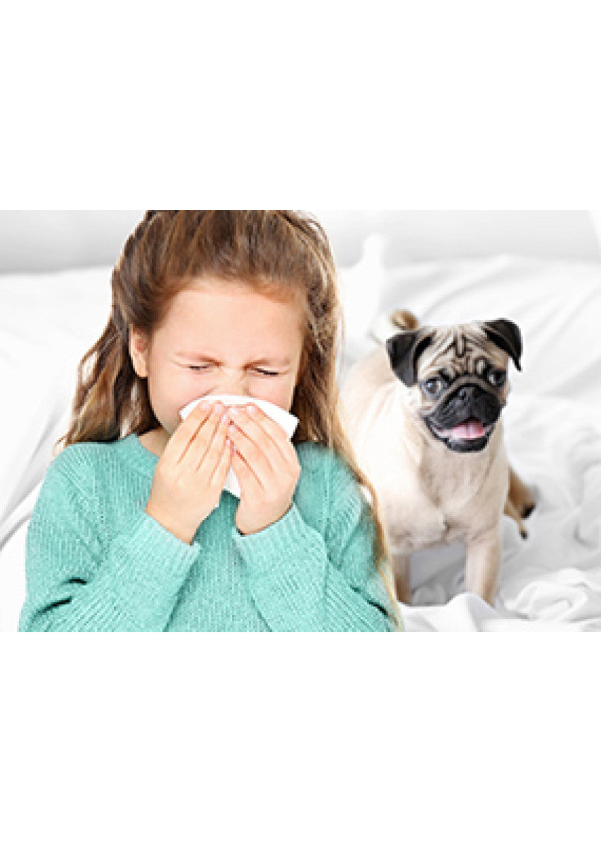 Allerpet - 艾露沛犬用淨屑理膚水