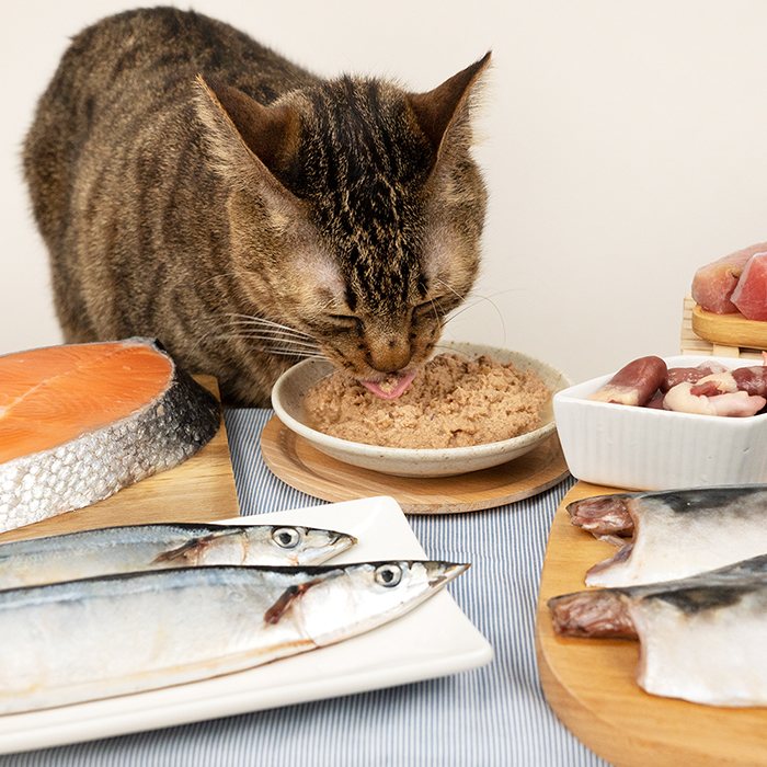 汪喵星球 - 挑嘴貓無膠主食罐（小罐 80g／大罐 165g）