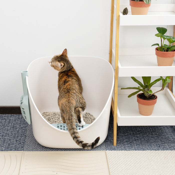 汪喵星球 - 專利小白鯨砂盆