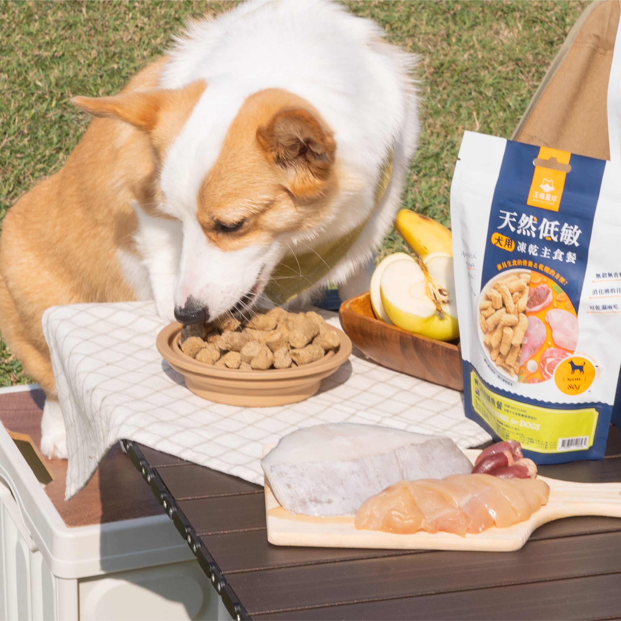 汪喵星球 -紐西蘭進口犬用天然低敏凍乾主食餐（80g／500g）