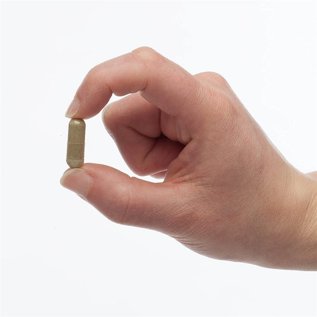 PetAlive - Digestive Support 維持消化系統正常