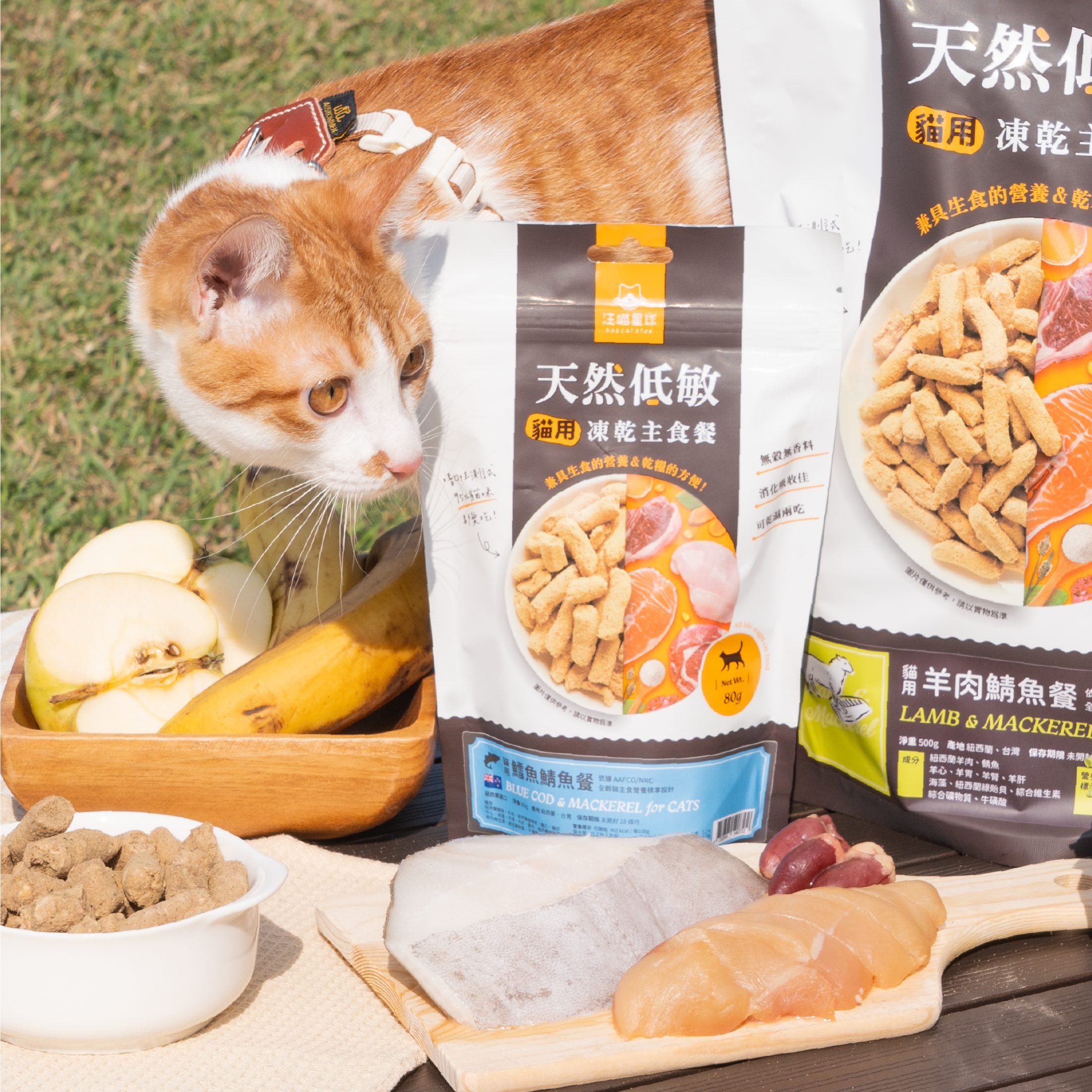 汪喵星球 - 紐西蘭進口貓用脫水生肉糧（小袋 80g／大袋 500g）