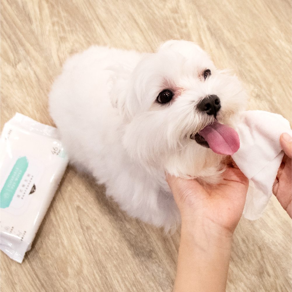 汪喵星球 - 汪喵濕式衛生紙（46 抽 & 12 抽）