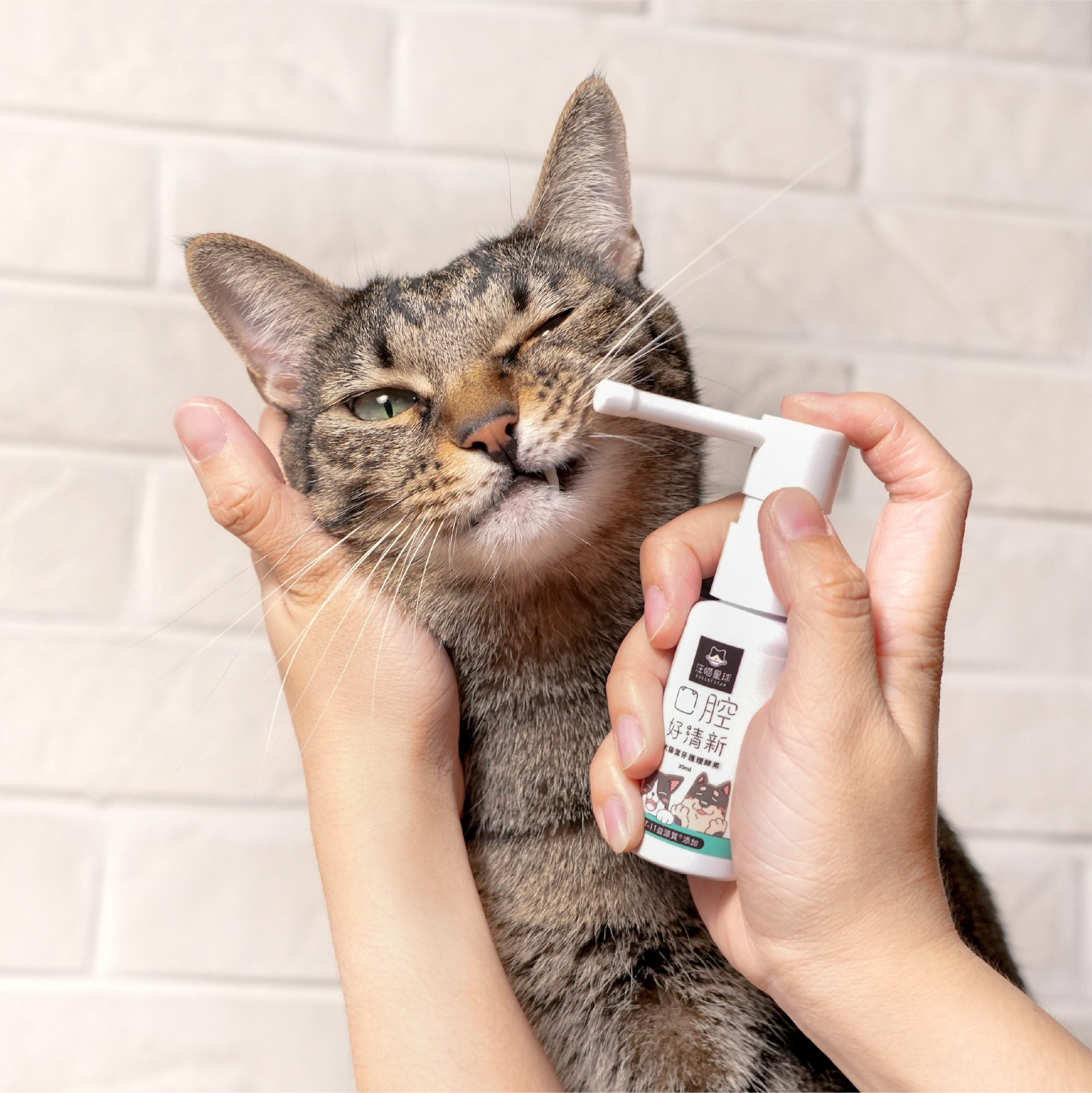 汪喵星球 - 汪喵潔牙護理酵素（凝露噴劑型）