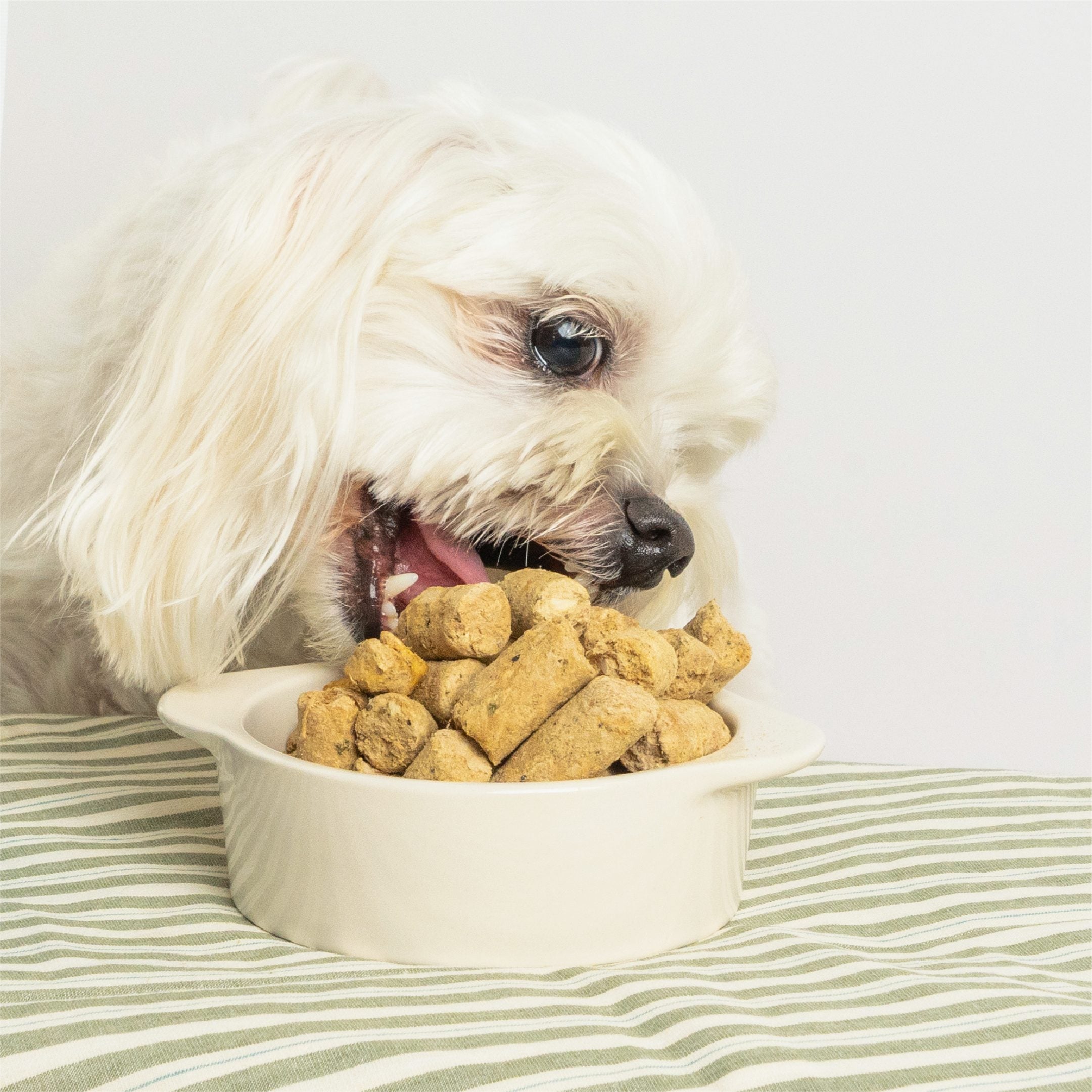 汪喵星球 -紐西蘭進口犬用天然低敏凍乾主食餐（80g／500g）