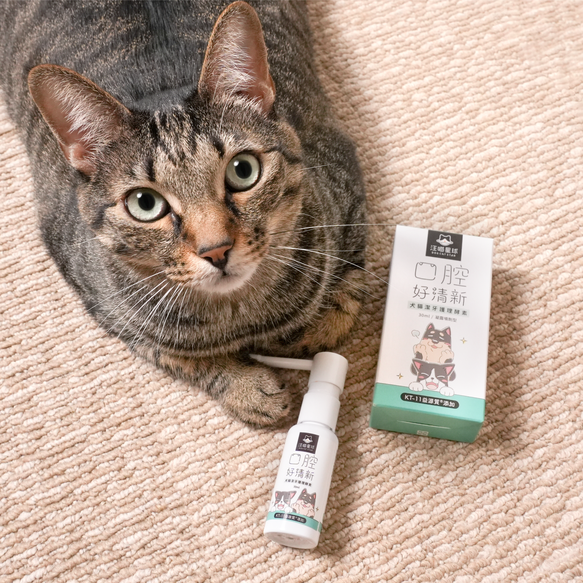 汪喵星球 - 汪喵潔牙護理酵素（凝露噴劑型）