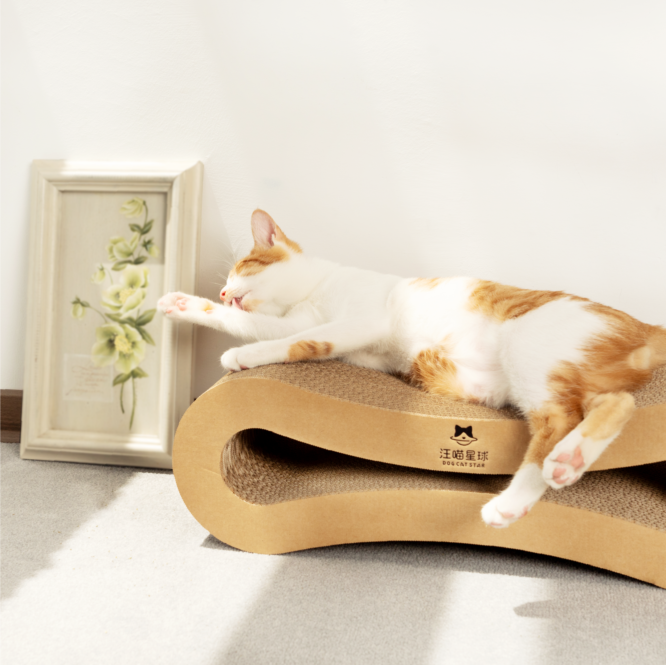 汪喵星球 - 汪喵經典 8 字型貓抓板（小／大）