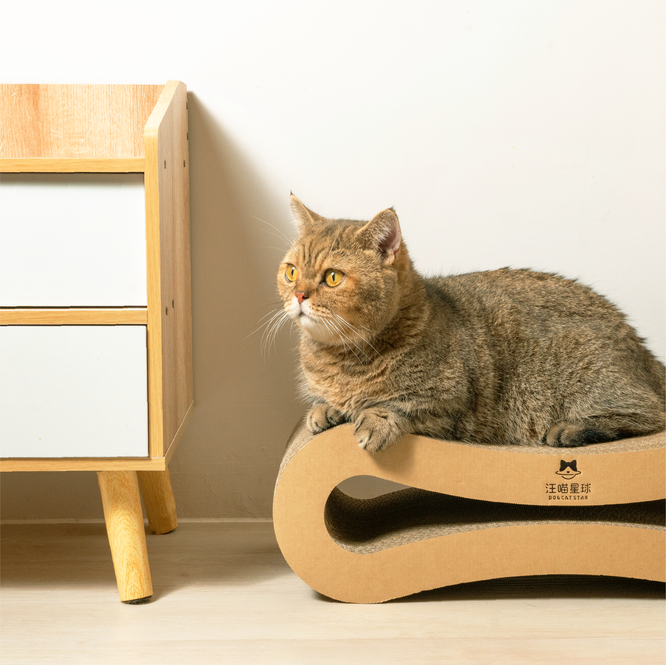 汪喵星球 - 汪喵經典 8 字型貓抓板（小／大）