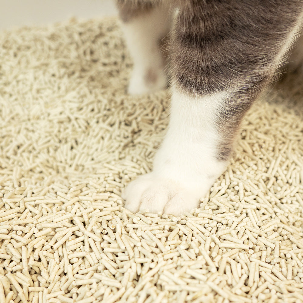 汪喵星球 - 益生菌消臭豆腐砂（迷迭條型／原味條型／米粒型）