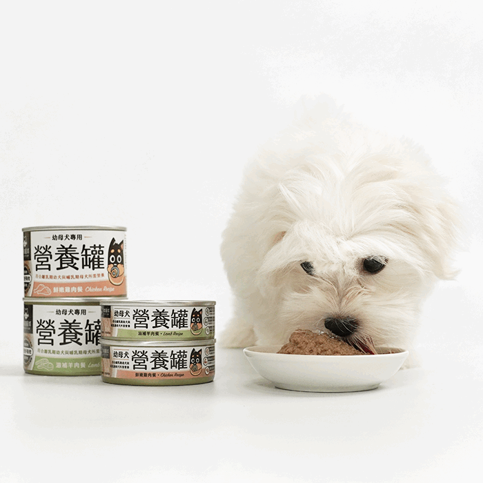 汪喵星球 - 幼母犬 95% 營養無膠主食罐（小罐80g／165g）