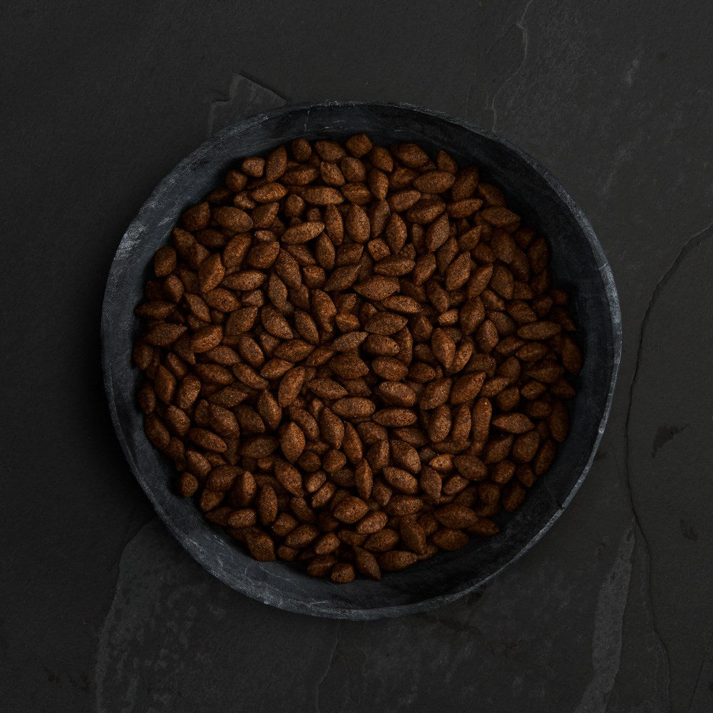 CANAGAN - 無穀物蟲蟲蛋白配方狗糧（1.5kg）