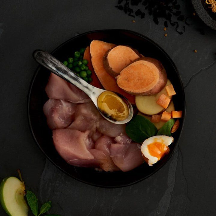 CANAGAN - 無穀物走地雞老犬配方（2kg／6kg／12kg）