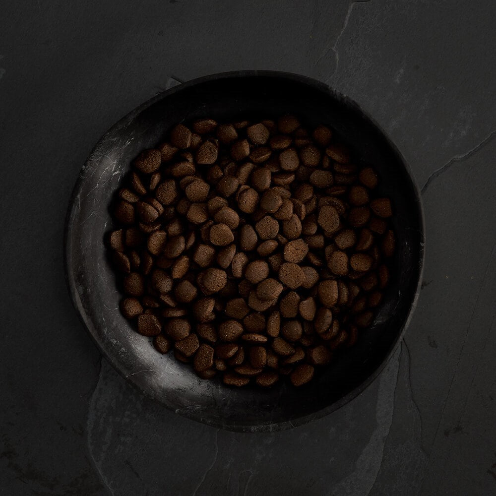 CANAGAN - 無穀物蘇格蘭三文魚狗糧配方（2kg／6kg／12kg）