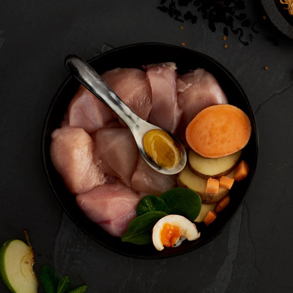 CANAGAN - 無穀物走地雞貓糧配方（1.5kg／4kg）