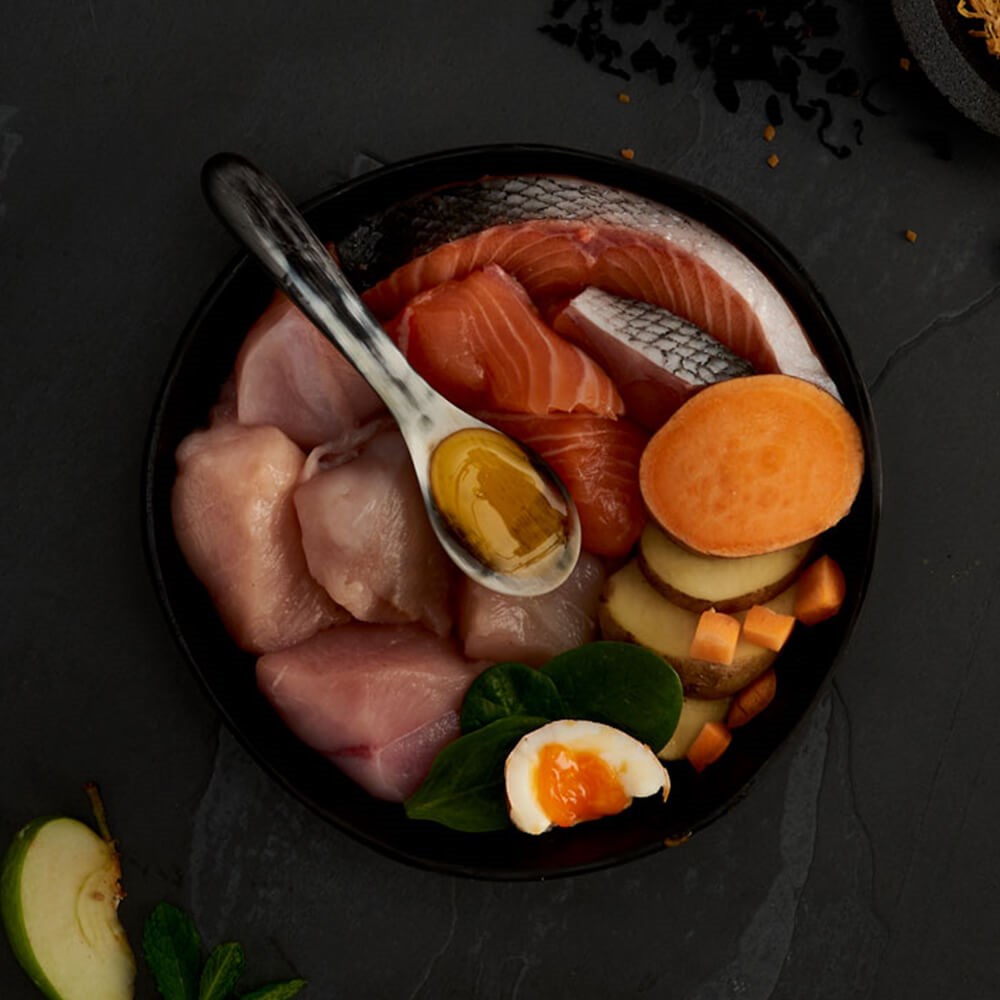 CANAGAN - 無穀物走地雞老貓配方（1.5kg／4kg）