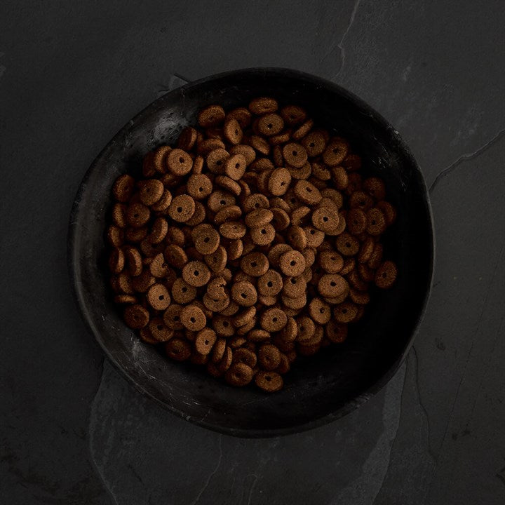 CANAGAN - 無穀物走地雞老犬配方（2kg／6kg／12kg）