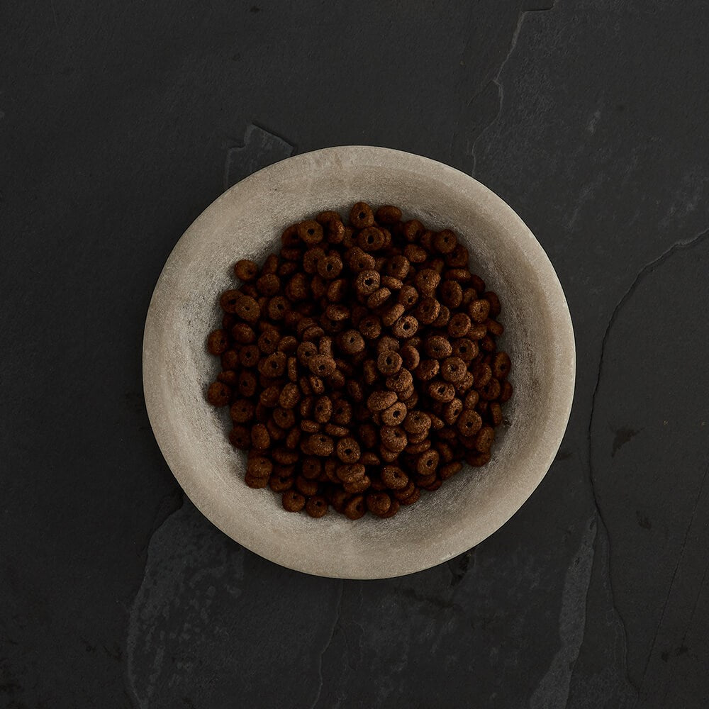 CANAGAN - 無穀物走地雞老貓配方（1.5kg／4kg）