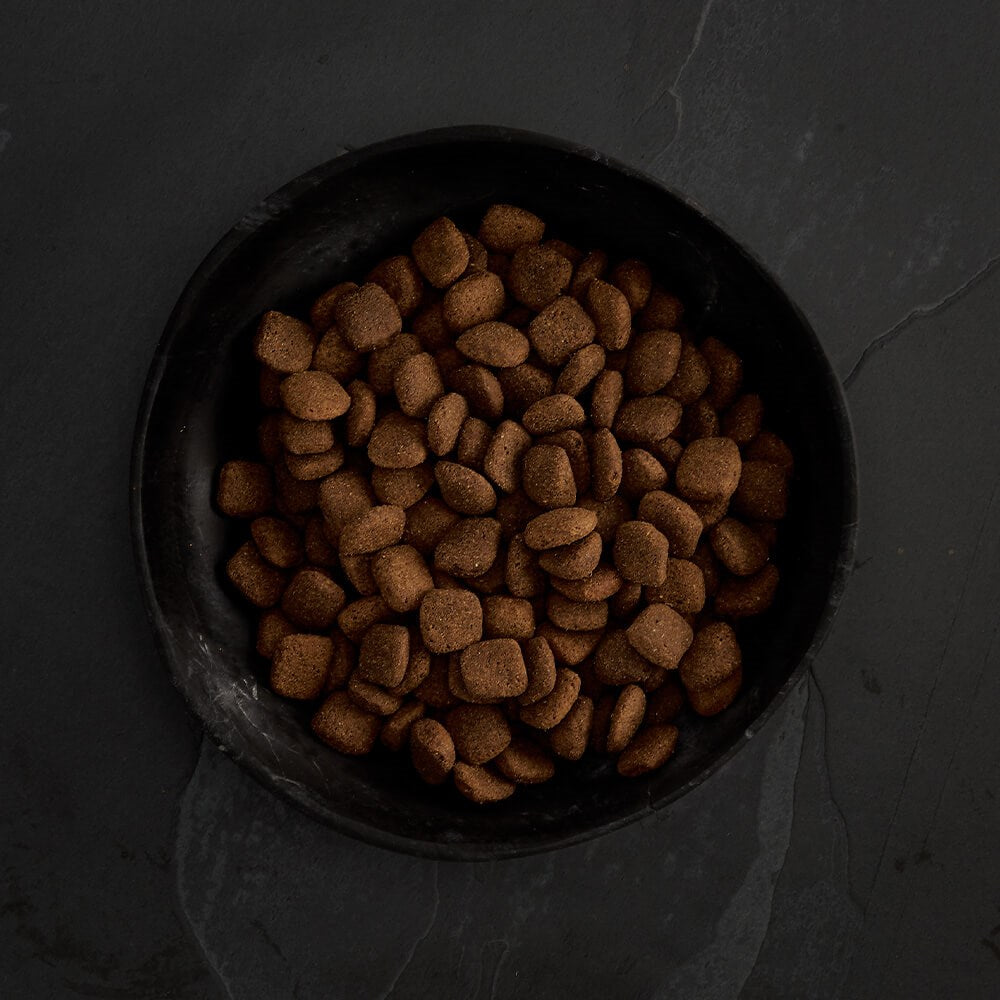 CANAGAN - 無穀物放牧羊狗糧配方（2kg／6kg／12kg）