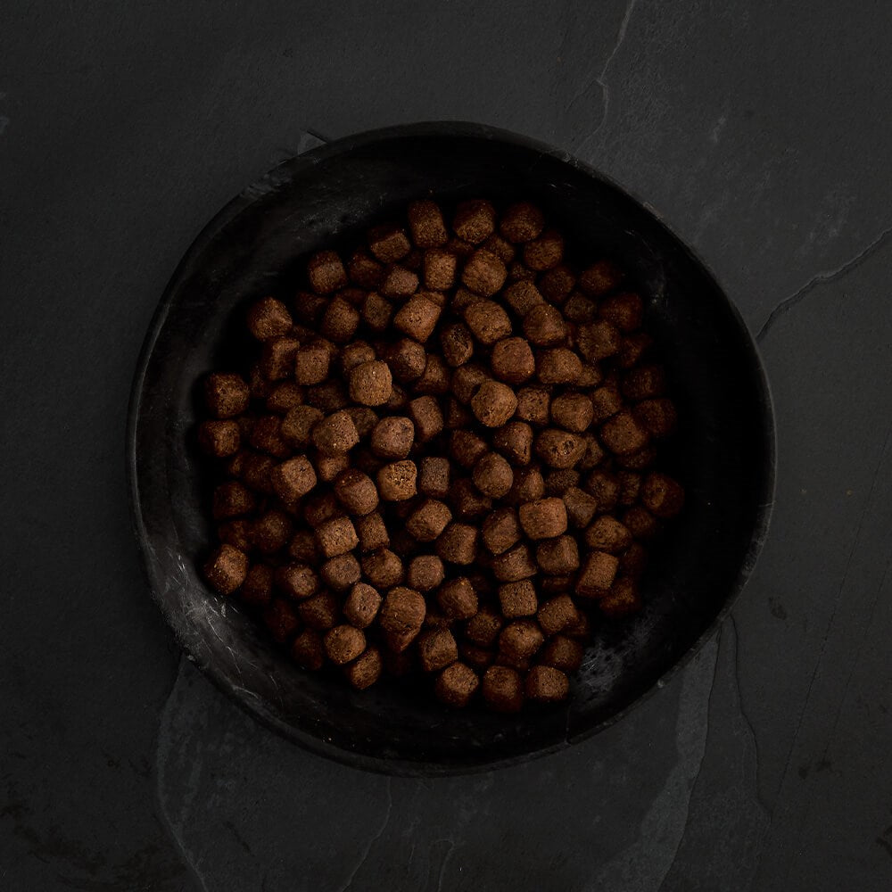 CANAGAN - 無穀物火雞健齒配方小型犬專用（2kg／6kg）