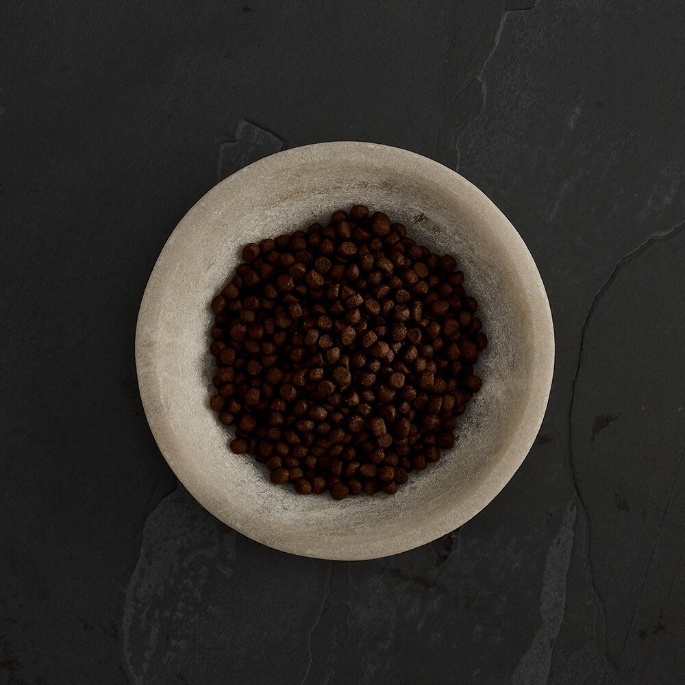 CANAGAN - 無穀物蘇格蘭三文魚貓糧配方（1.5kg／4kg）