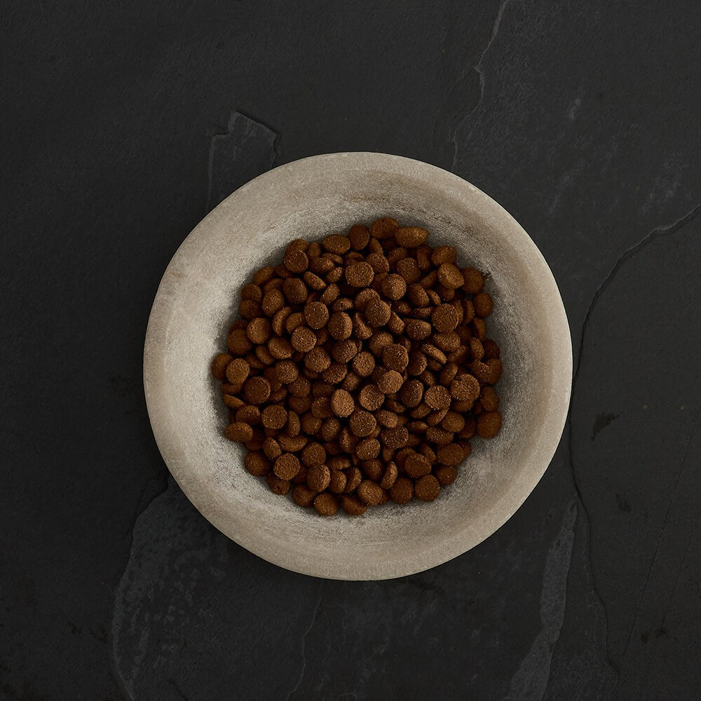 CANAGAN - 無穀物火雞健齒貓糧配方（1.5kg／4kg）