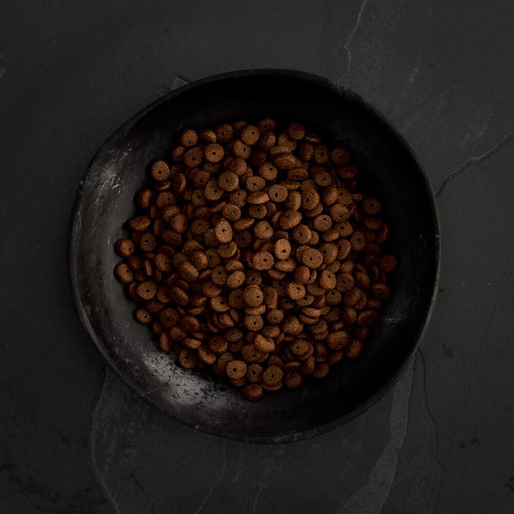 CANAGAN - 無穀物走地雞配方小型犬專用（2kg／6kg）