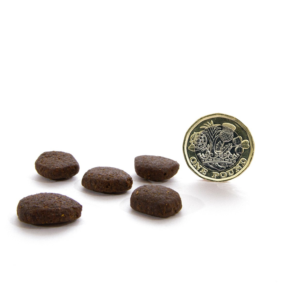 CANAGAN - 無穀物蘇格蘭三文魚狗糧配方（2kg／6kg／12kg）