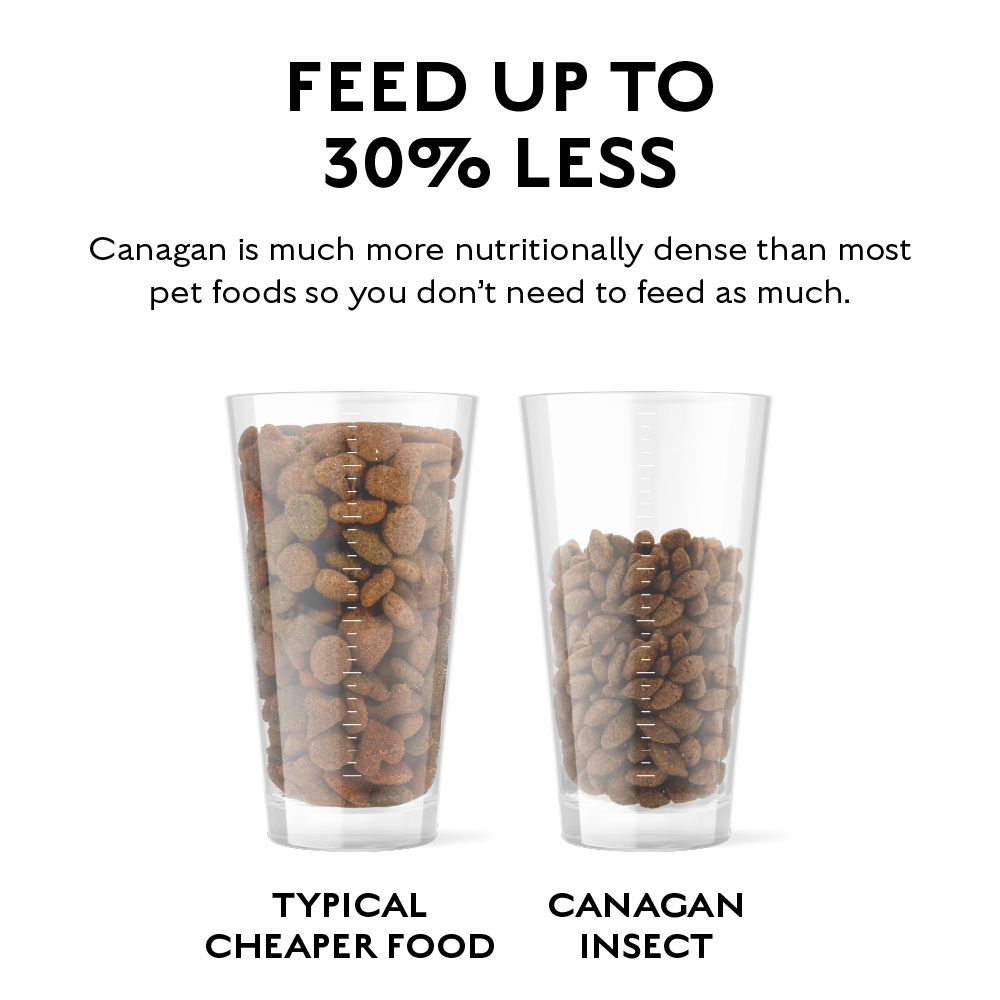 CANAGAN - 無穀物蟲蟲蛋白配方狗糧（1.5kg）