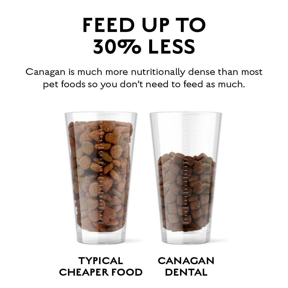 CANAGAN - 無穀物火雞健齒配方小型犬專用（2kg／6kg）