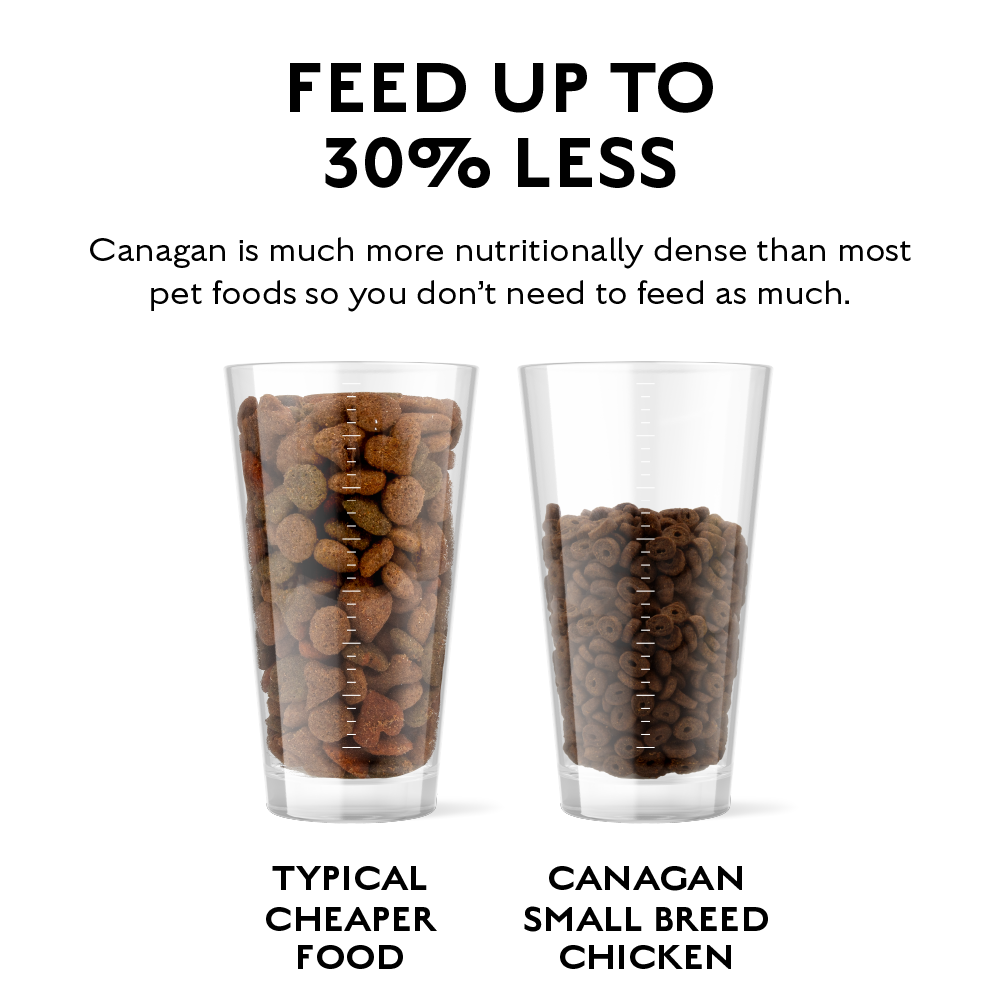 CANAGAN - 無穀物走地雞配方小型犬專用（2kg／6kg）