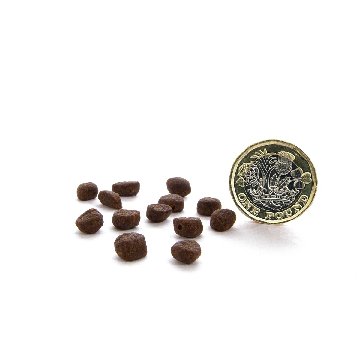 CANAGAN - 無穀物蘇格蘭三文魚貓糧配方（1.5kg／4kg）