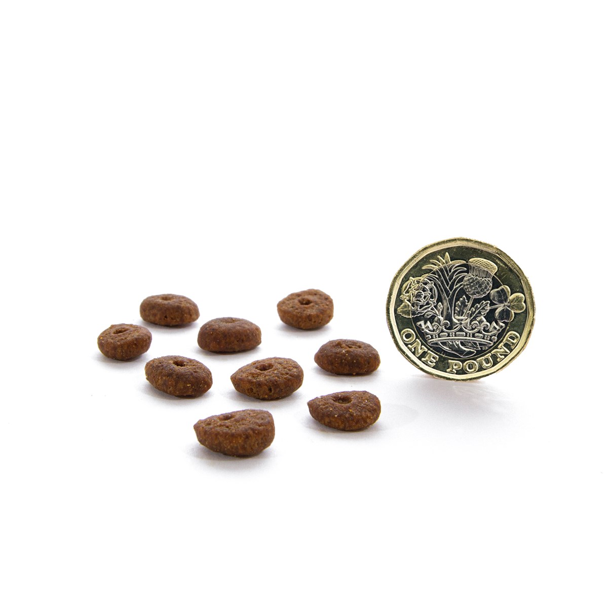 CANAGAN - 無穀物走地雞老貓配方（1.5kg／4kg）