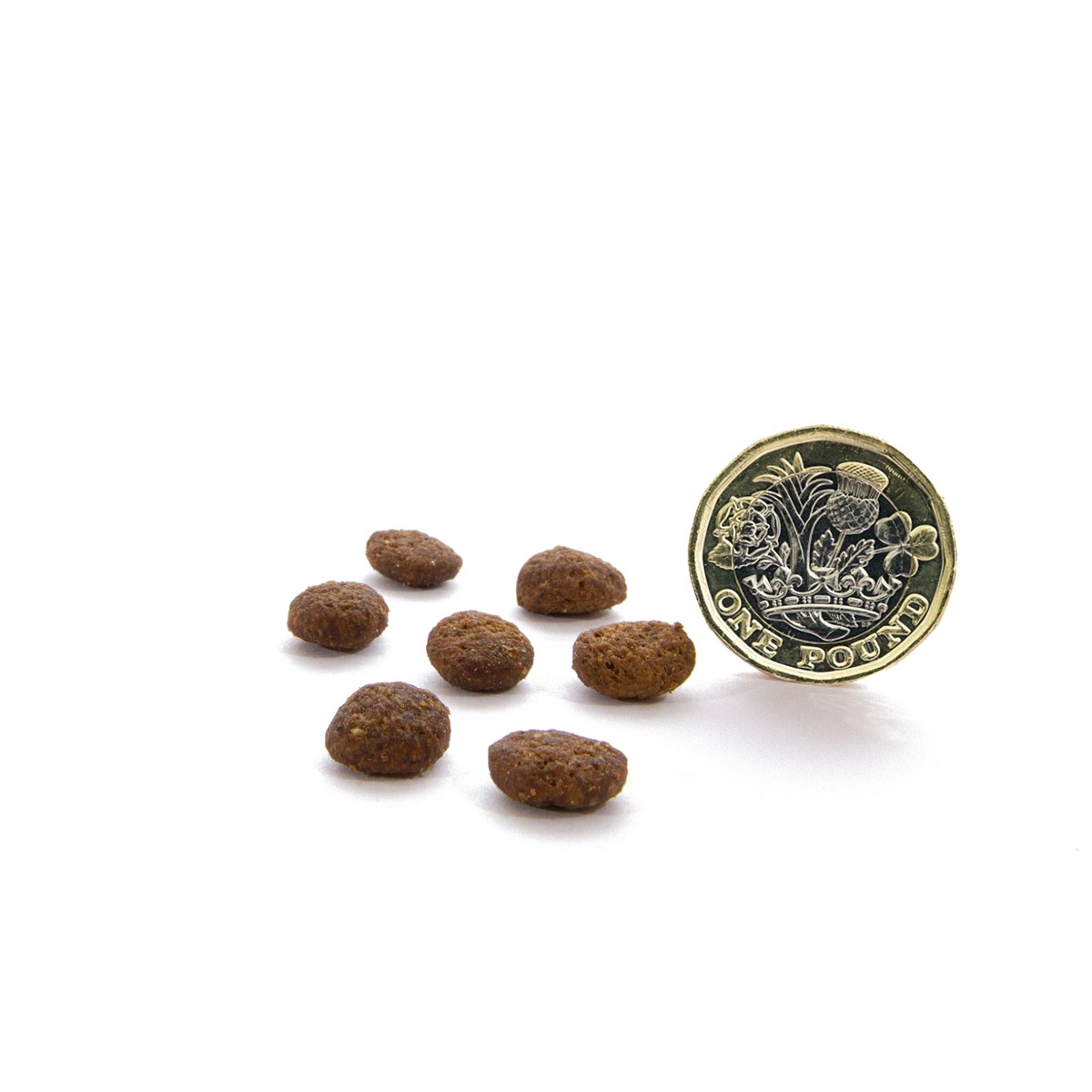 CANAGAN - 無穀物火雞健齒貓糧配方（1.5kg／4kg）