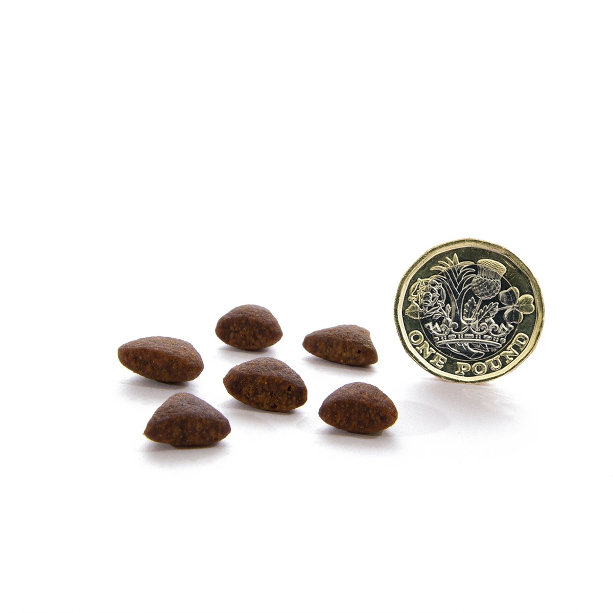 CANAGAN - 無穀物田園野味貓糧配方（1.5kg／4kg）