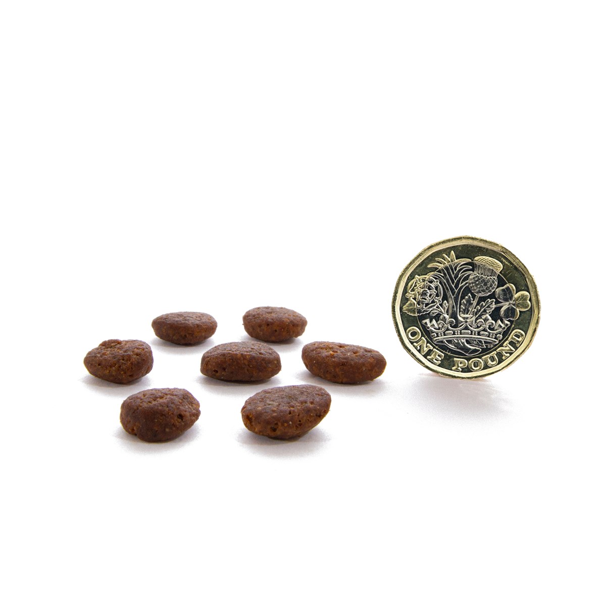 CANAGAN - 無穀物走地雞貓糧配方（1.5kg／4kg）